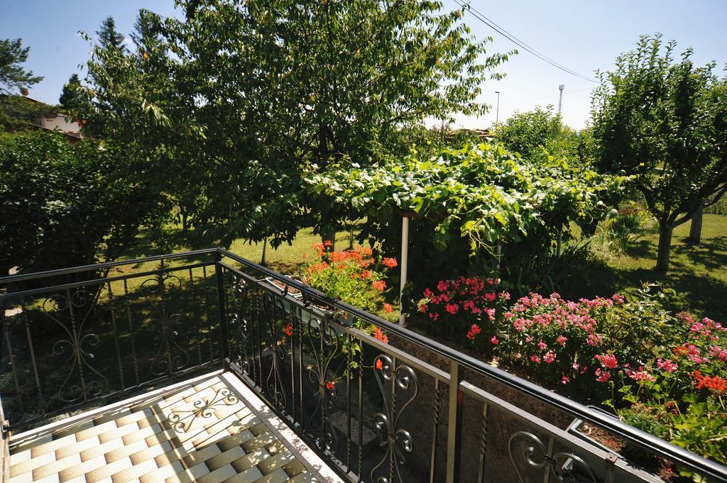Guesthouse Rutar Rupa Room photo